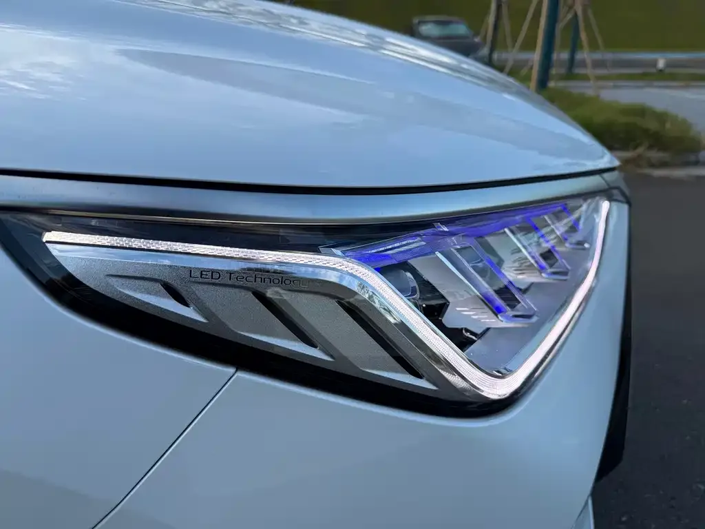 BYD PLUS New Energy — фото 2