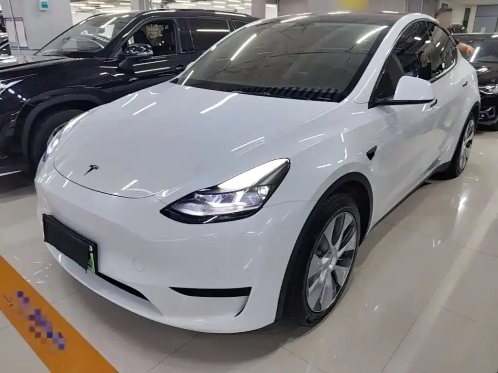 Tesla Model Y — фото 9