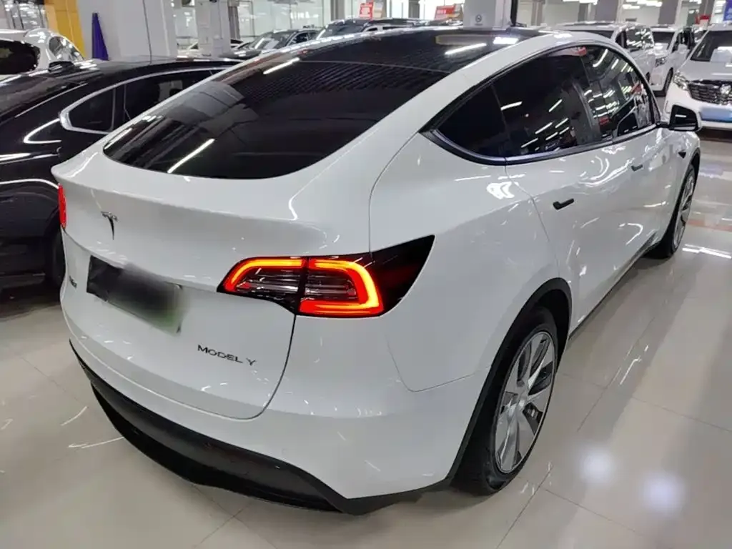 Tesla Model Y — фото 10