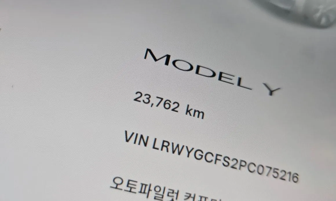 Tesla Model Y — фото 7