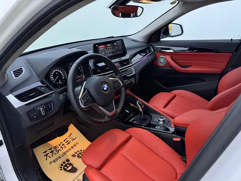 BMW X2 2021 из CN, фото 4
