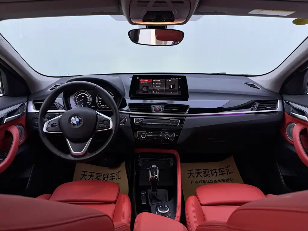 BMW X2 2021 из CN, фото 8