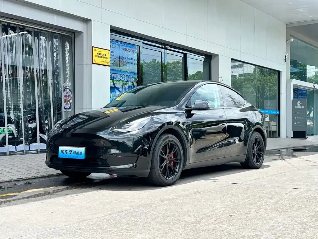 Tesla Model Y — фото 1