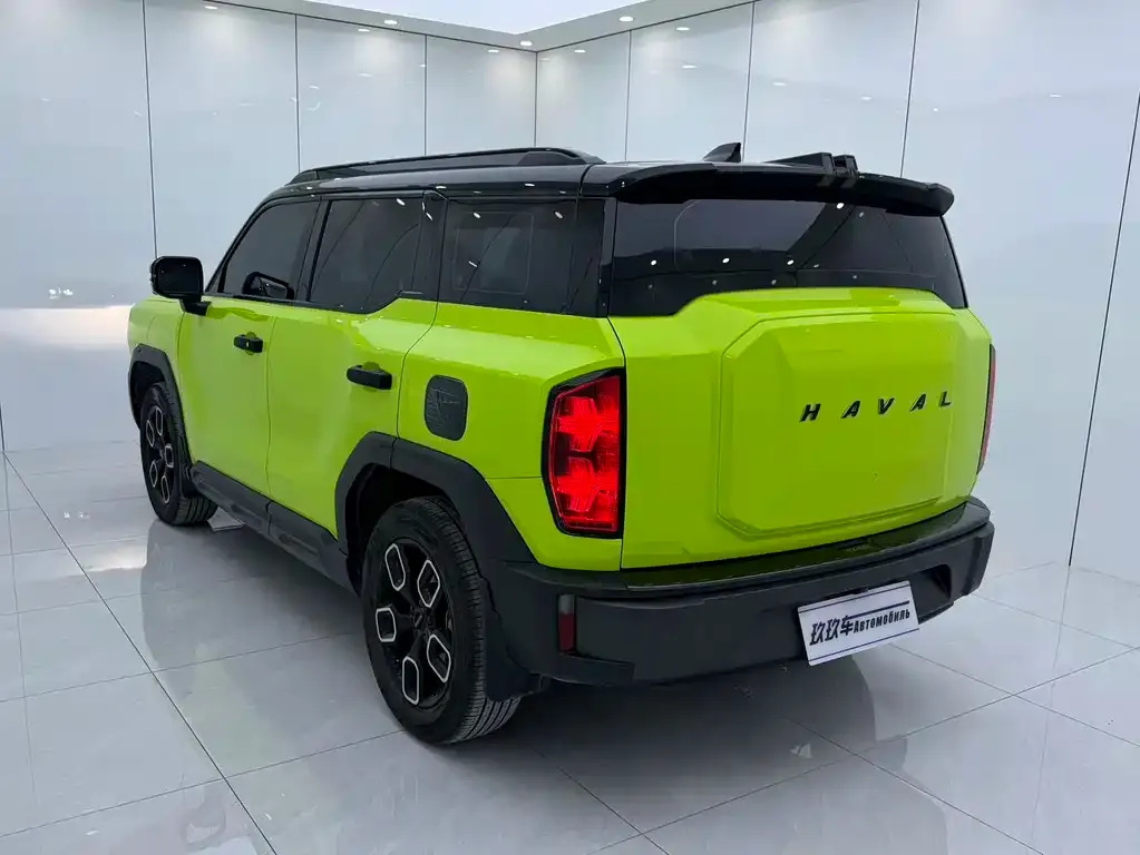 Haval Cool Dog — фото 6