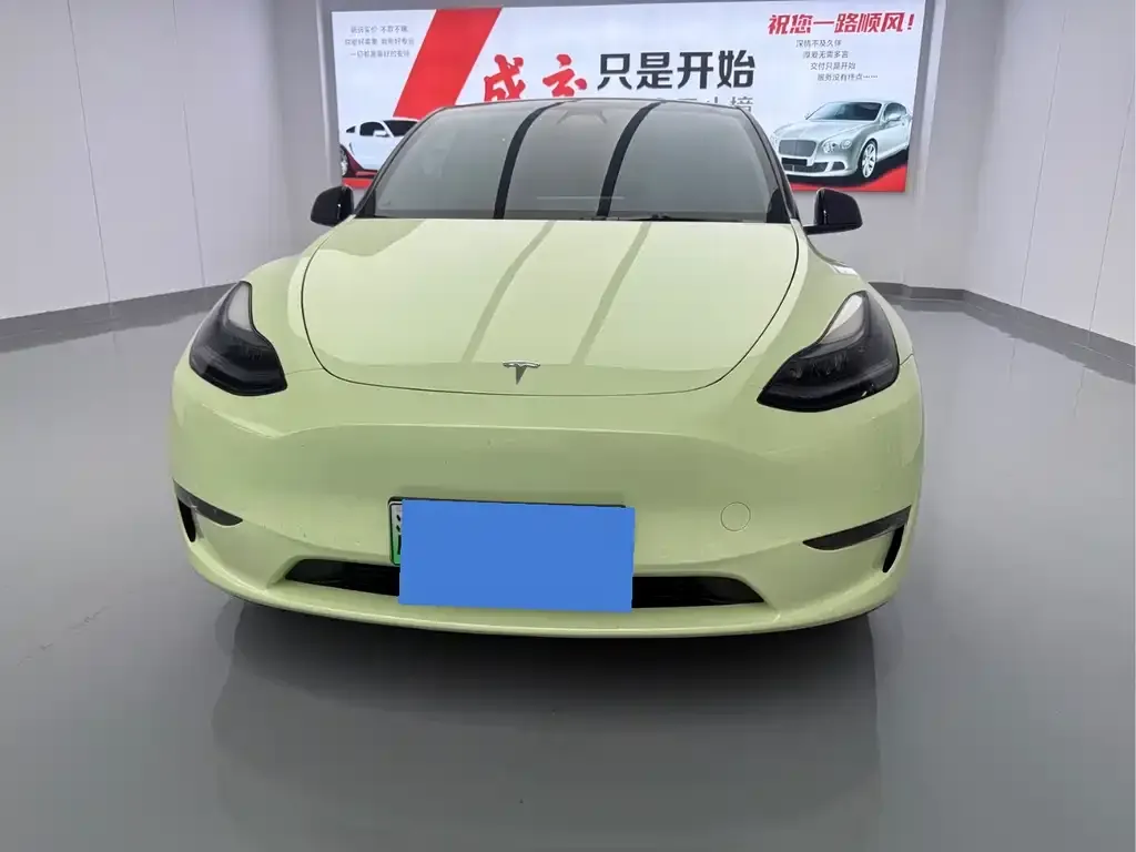 Tesla Model Y — фото 3