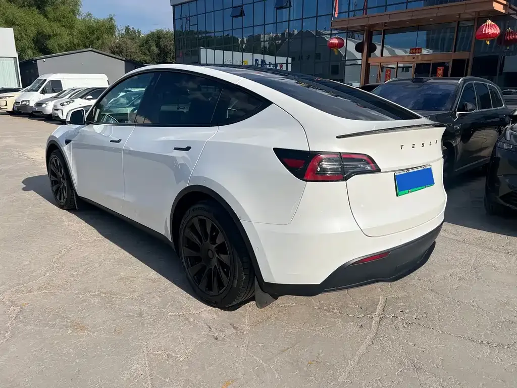 Tesla Model Y — фото 9