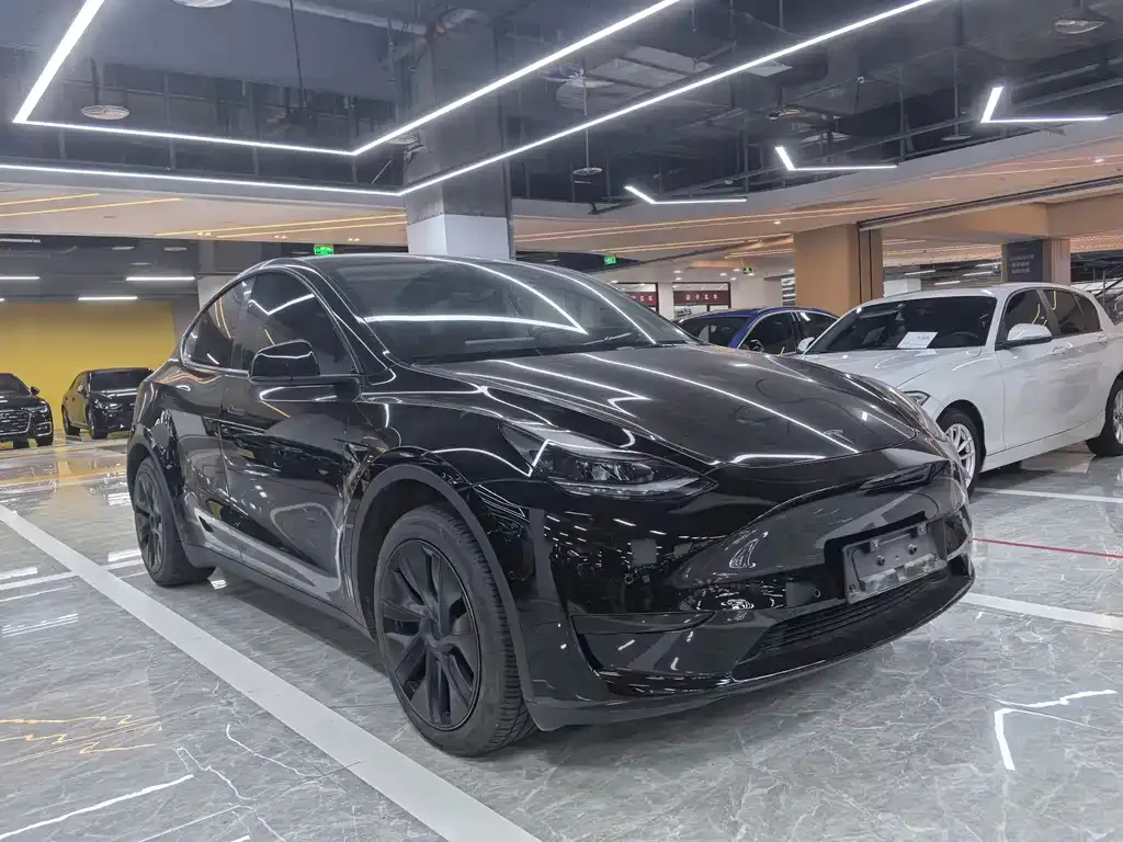 Tesla Model Y — фото 8