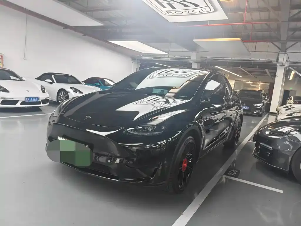 Tesla Model Y — фото 1