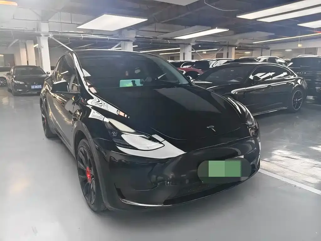 Tesla Model Y — фото 10