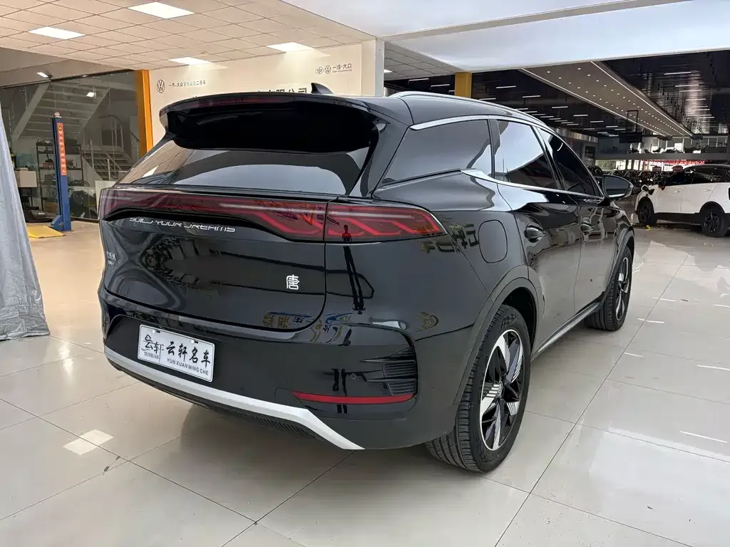 BYD Tang New Energy — фото 5