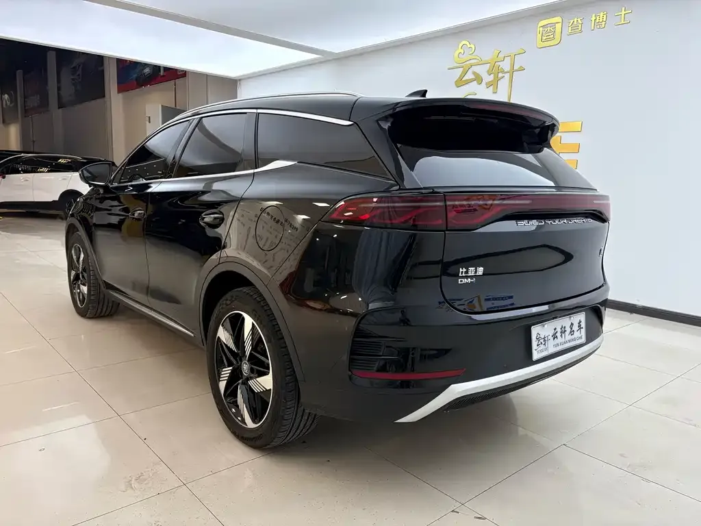 BYD Tang New Energy — фото 4