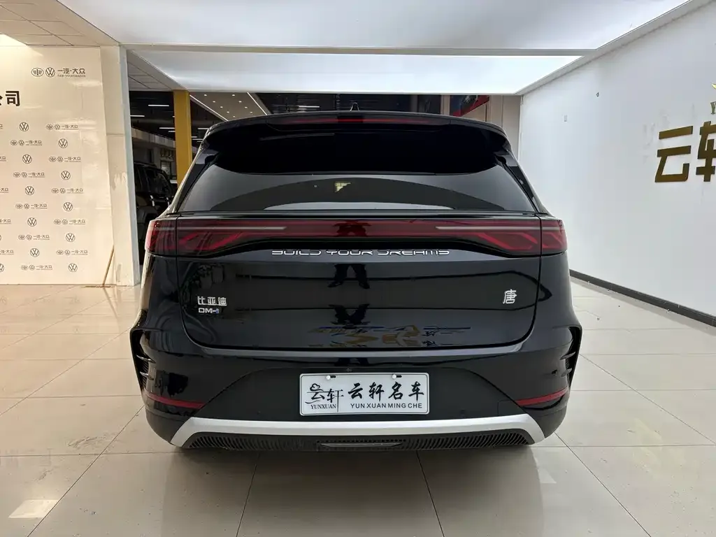 BYD Tang New Energy — фото 8