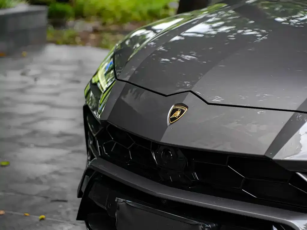 Lamborghini Urus — фото 3