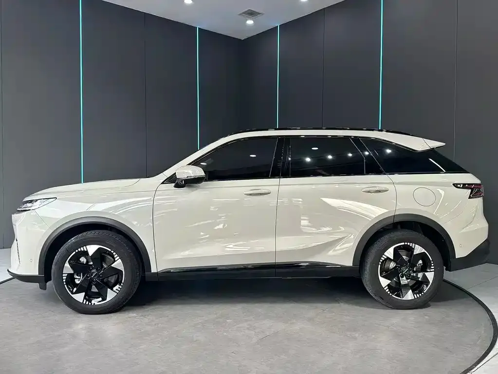 Haval Xiaolong MAX — фото 9