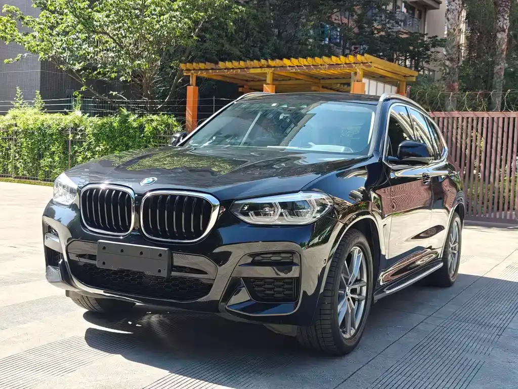BMW X3 — фото 1