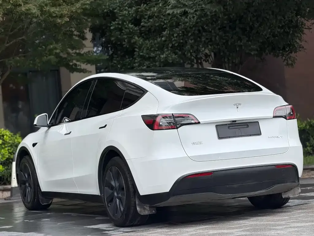 Tesla Model Y 2024 из CN, фото 5