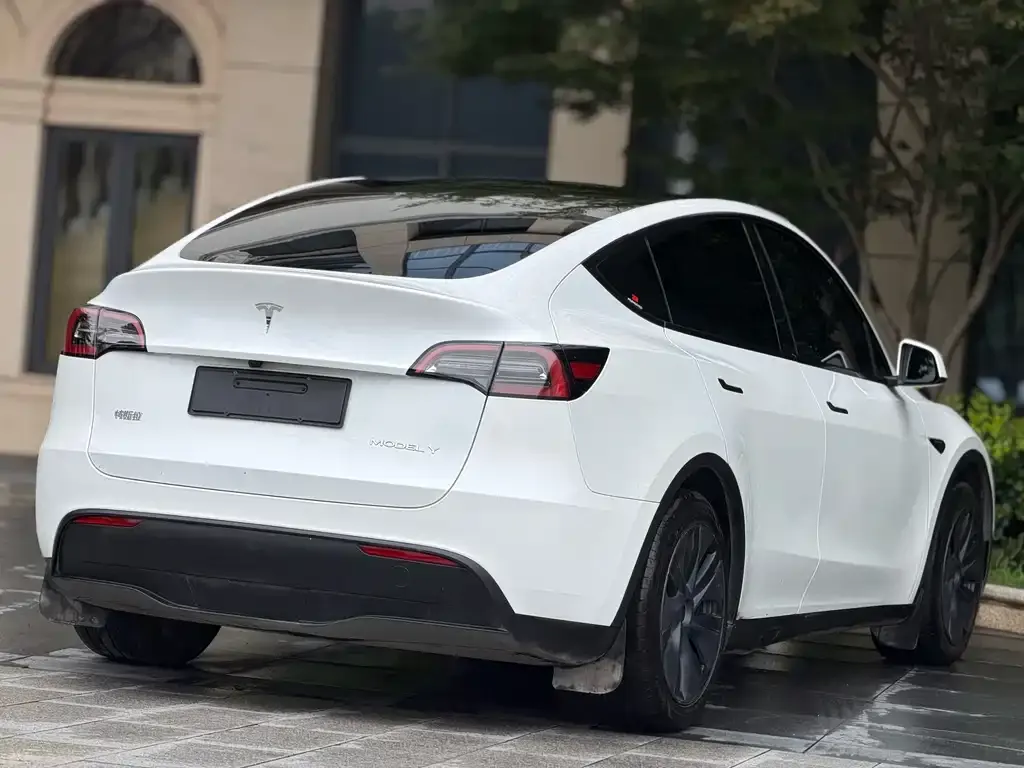 Tesla Model Y 2024 из CN, фото 3