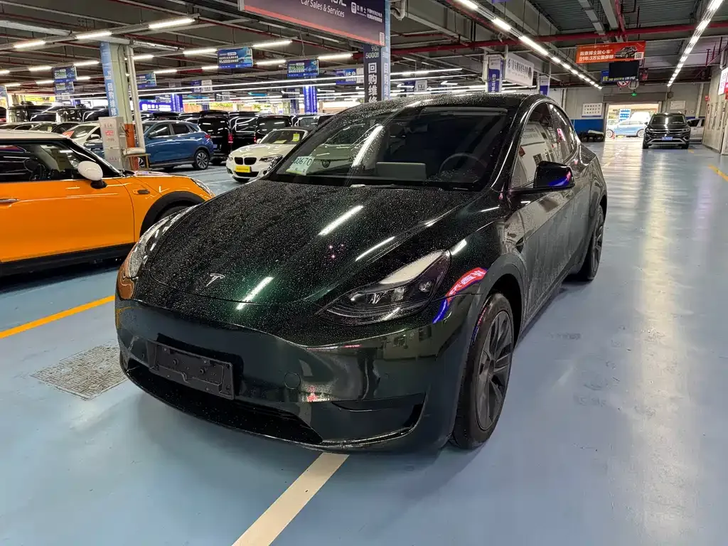 Tesla Model Y — фото 1