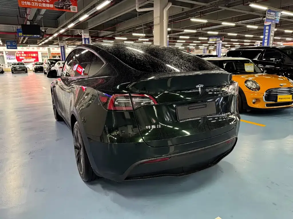 Tesla Model Y — фото 3