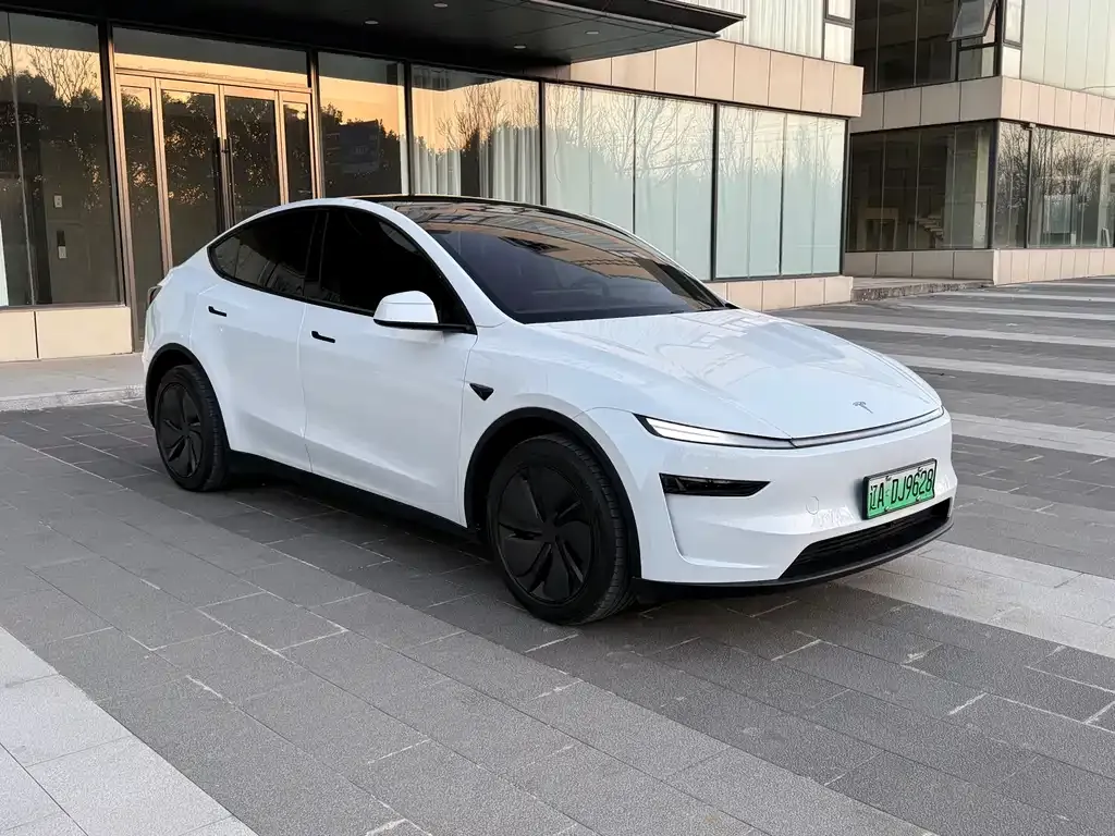 Tesla Model Y — фото 9