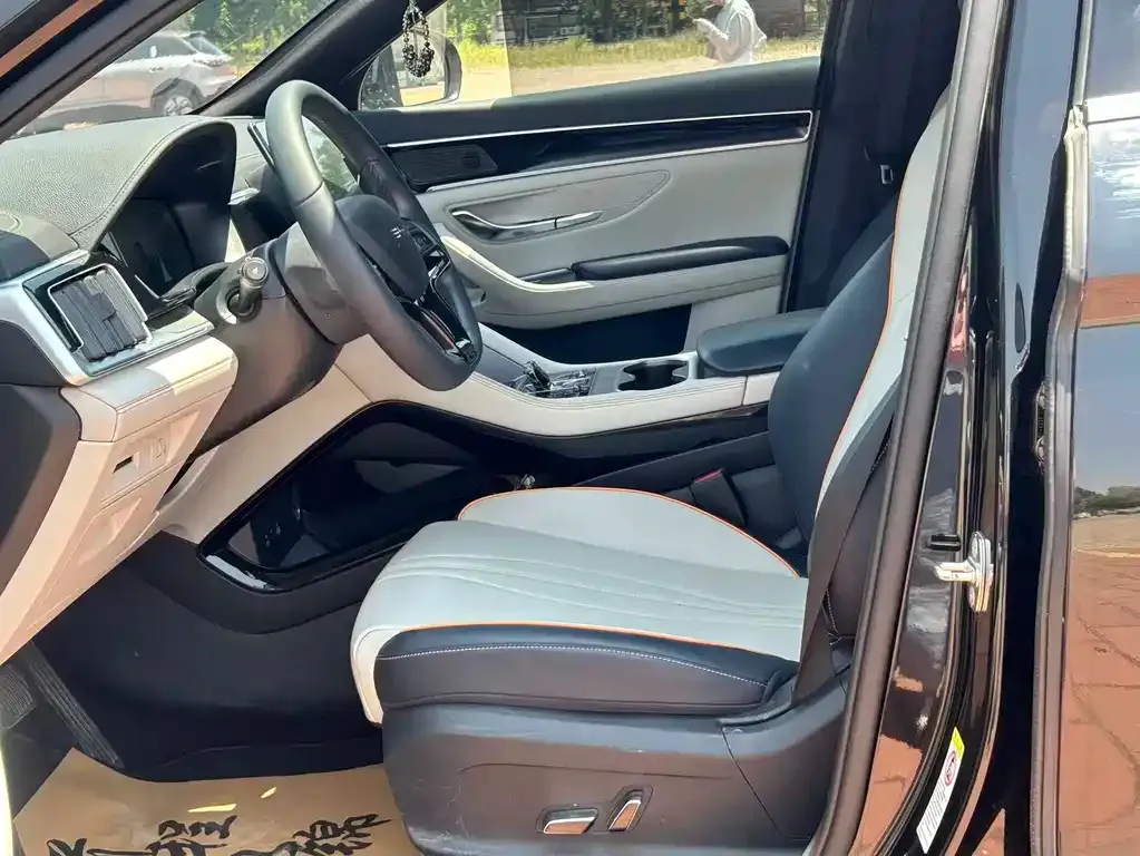 BYD PLUS New Energy 2024 из CN, фото 2