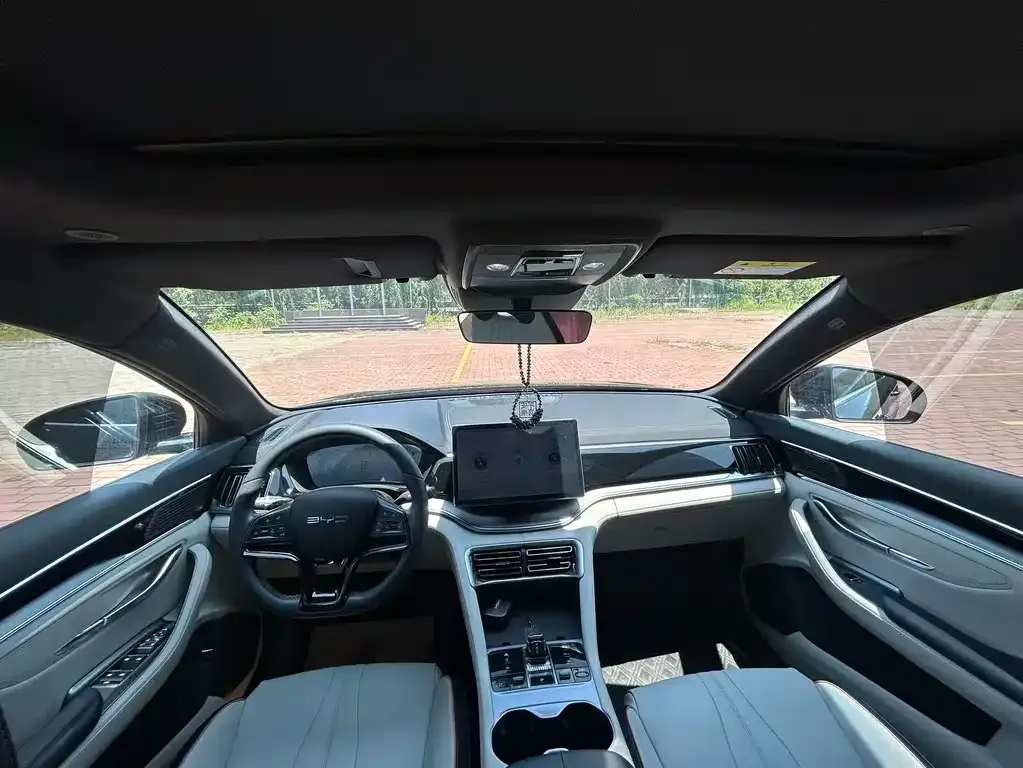 BYD PLUS New Energy 2024 из CN, фото 3