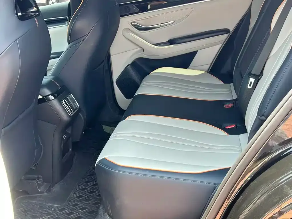 BYD PLUS New Energy 2024 из CN, фото 6