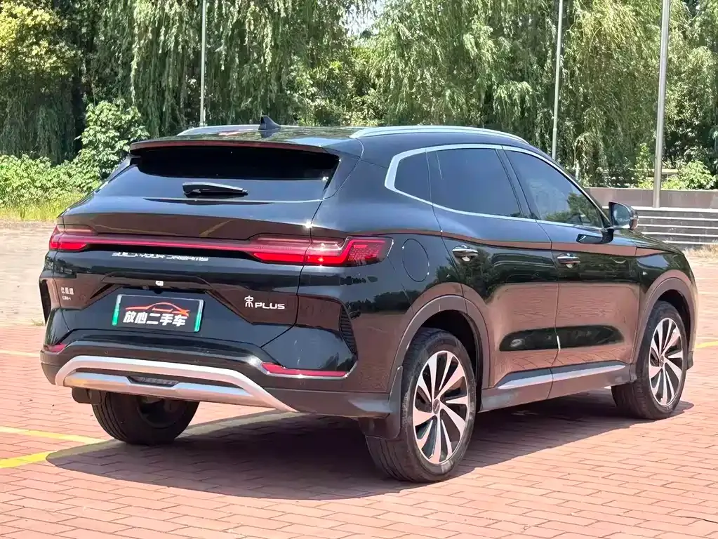 BYD PLUS New Energy 2024 из CN, фото 5