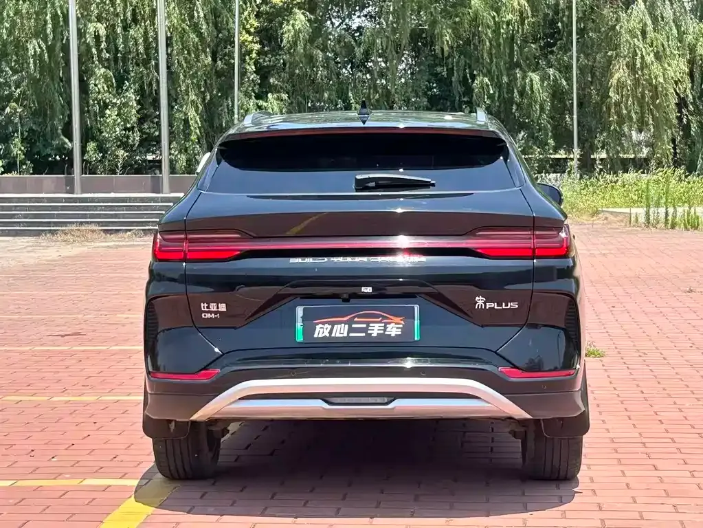 BYD PLUS New Energy 2024 из CN, фото 8