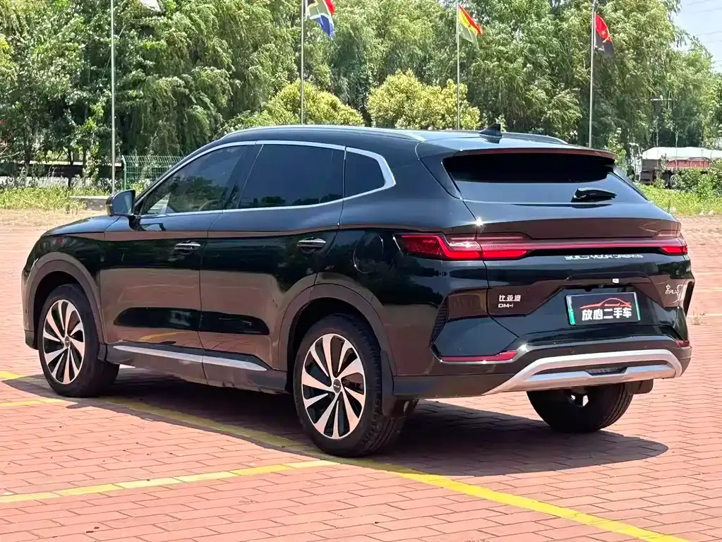 BYD PLUS New Energy 2024 из CN, фото 4