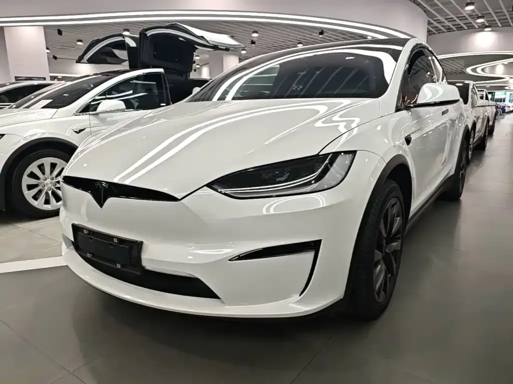 Tesla Model X — фото 1
