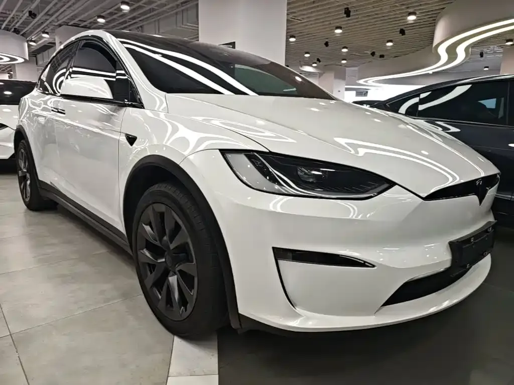 Tesla Model X — фото 10