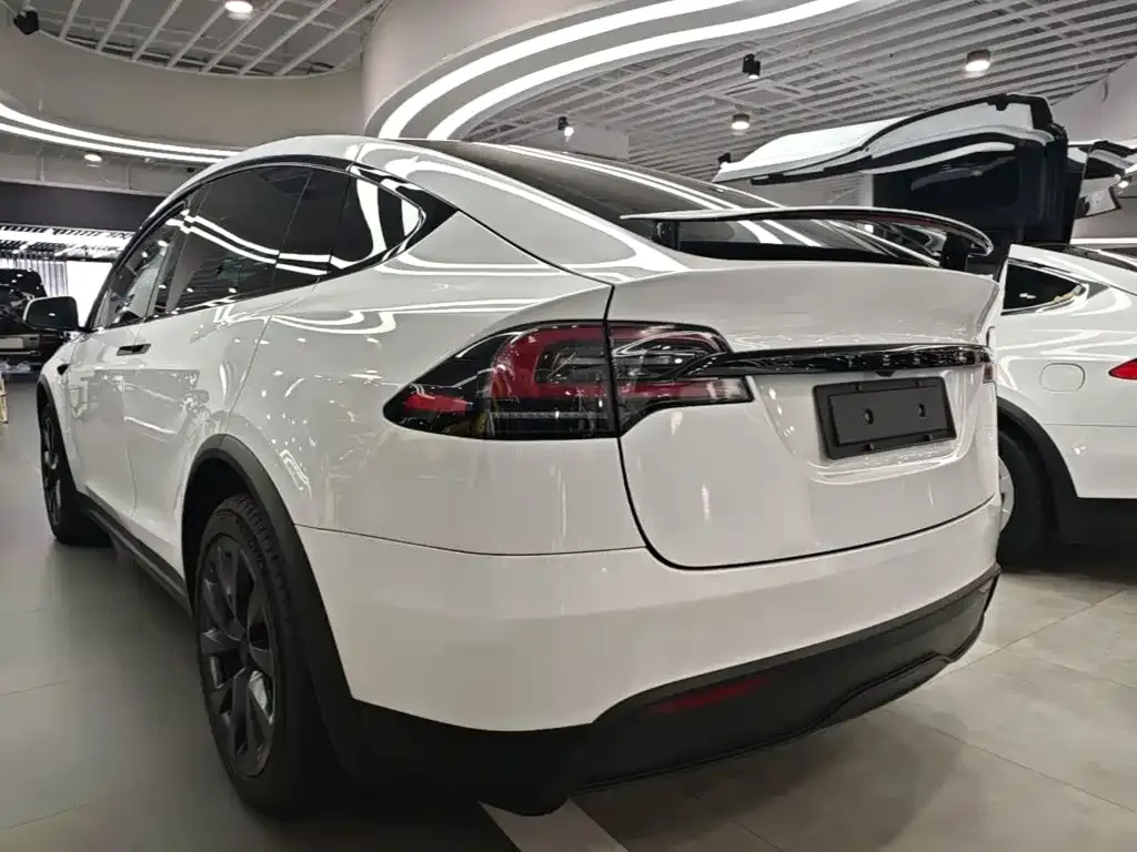 Tesla Model X — фото 7