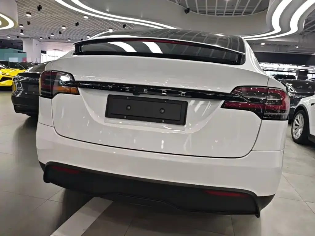 Tesla Model X — фото 6