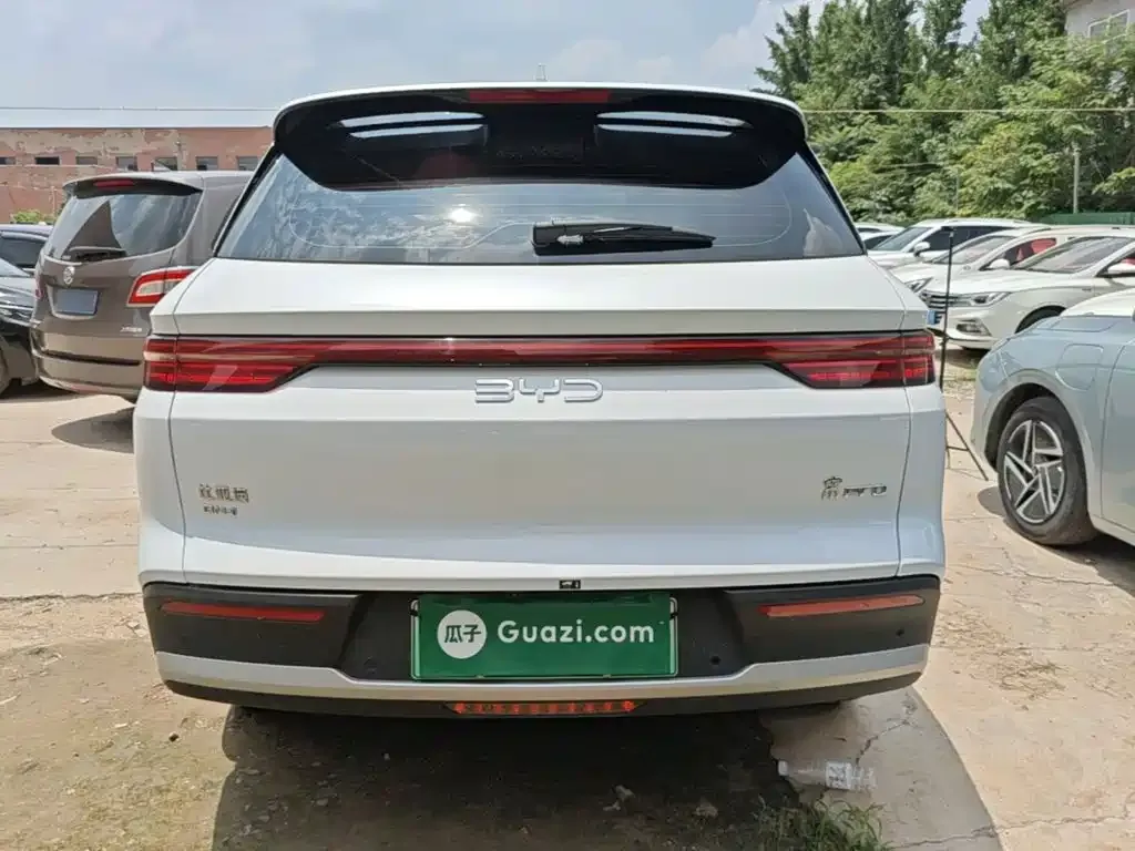 BYD Pro New Energy — фото 6