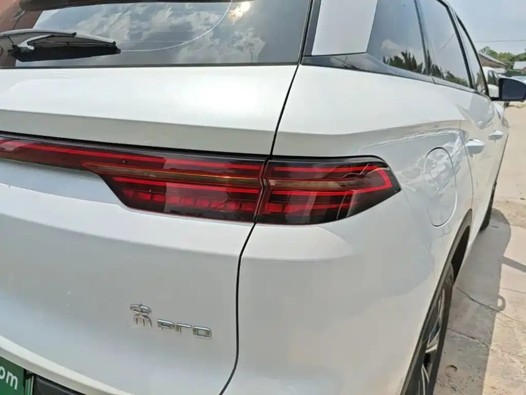 BYD Pro New Energy — фото 2