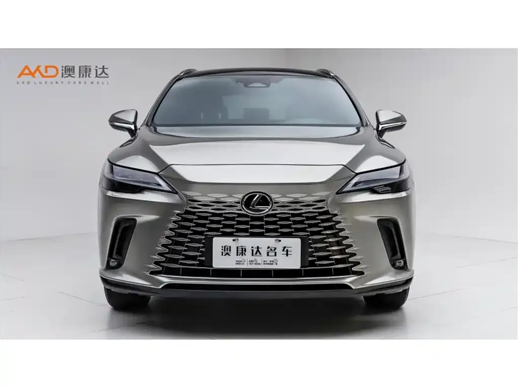 Lexus RX New Energy — фото 2