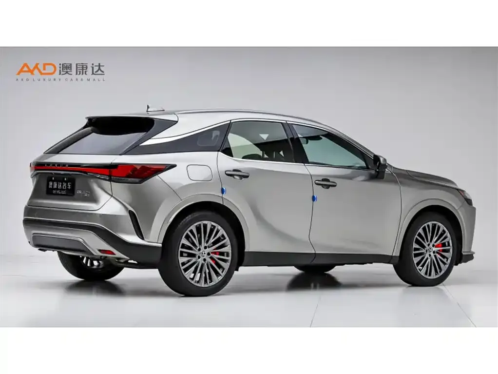 Lexus RX New Energy — фото 8