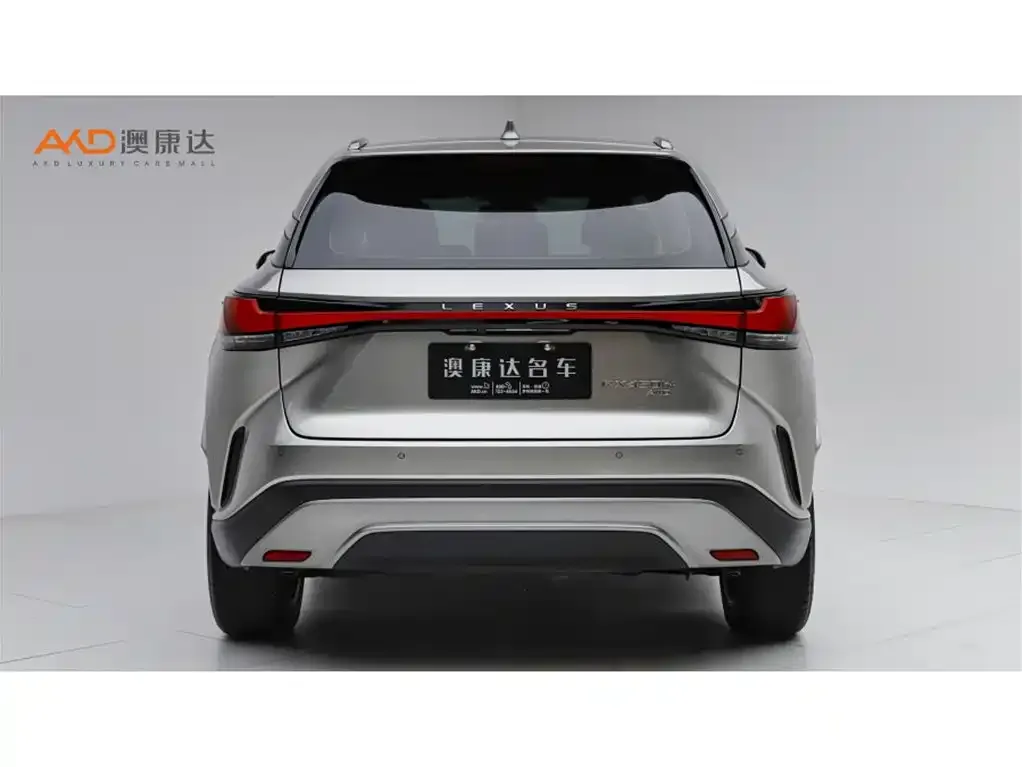 Lexus RX New Energy — фото 4
