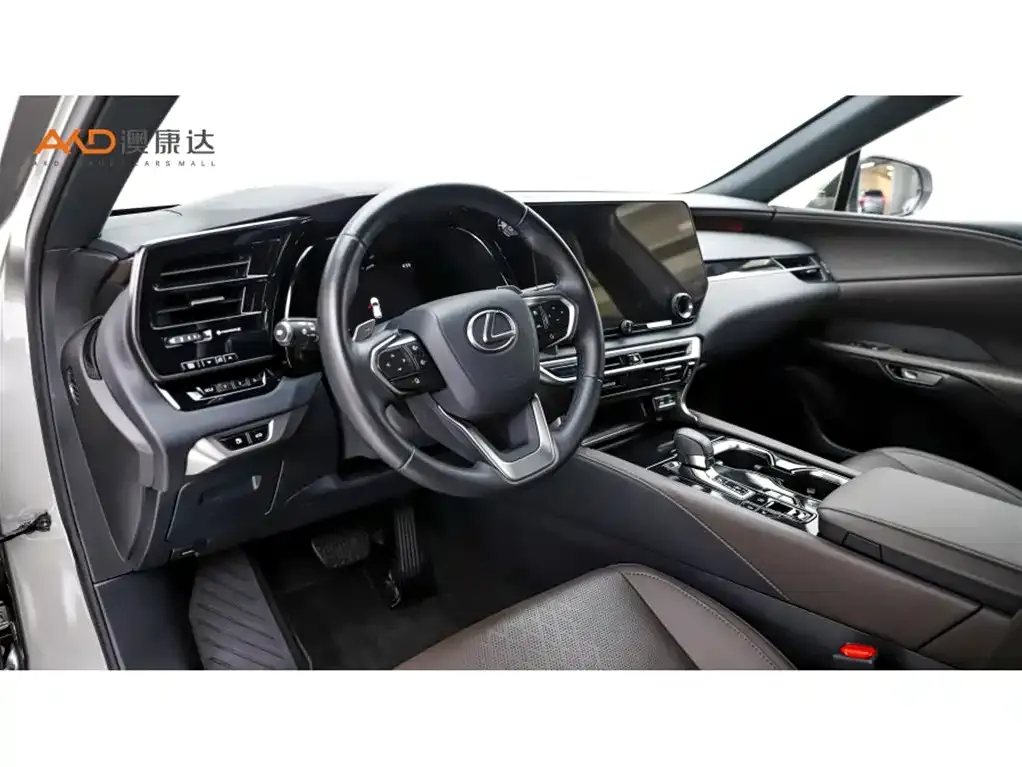 Lexus RX New Energy — фото 10