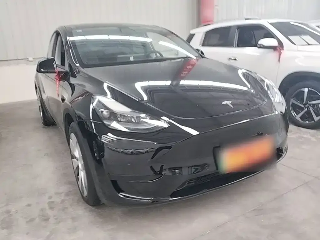 Tesla Model Y — фото 10