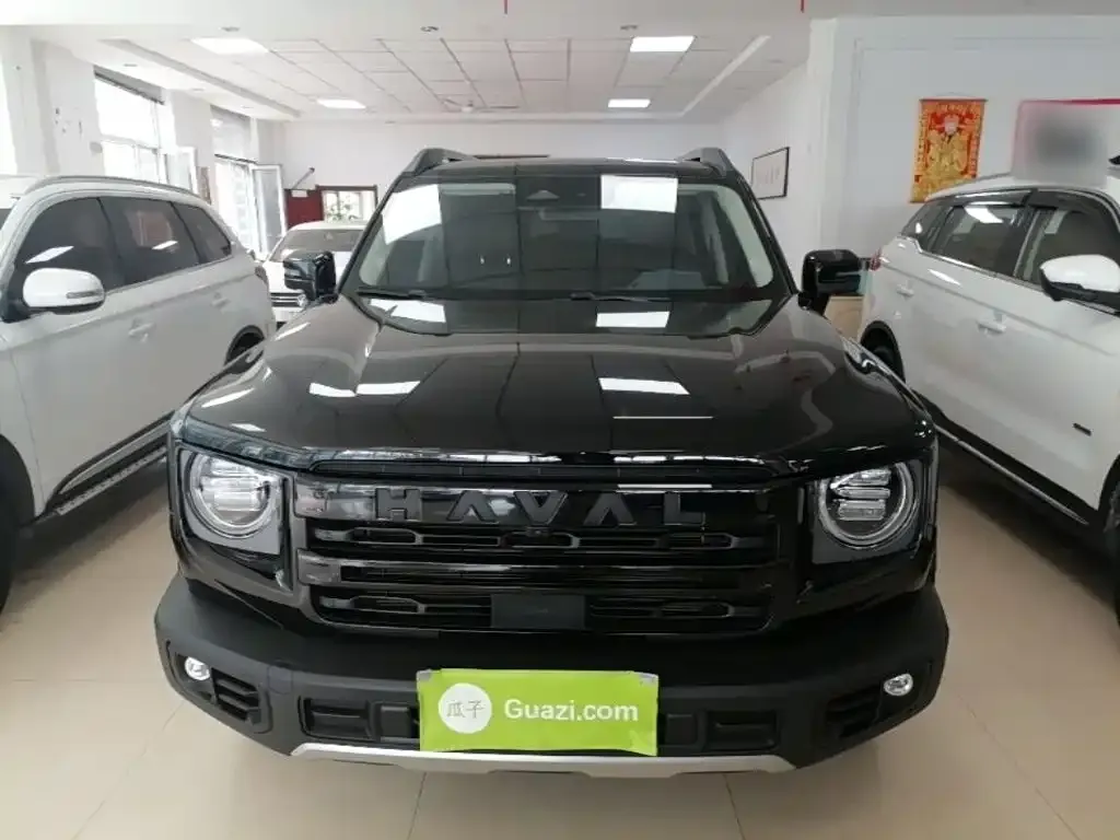 Haval Big Dog 2024 из CN, фото 6