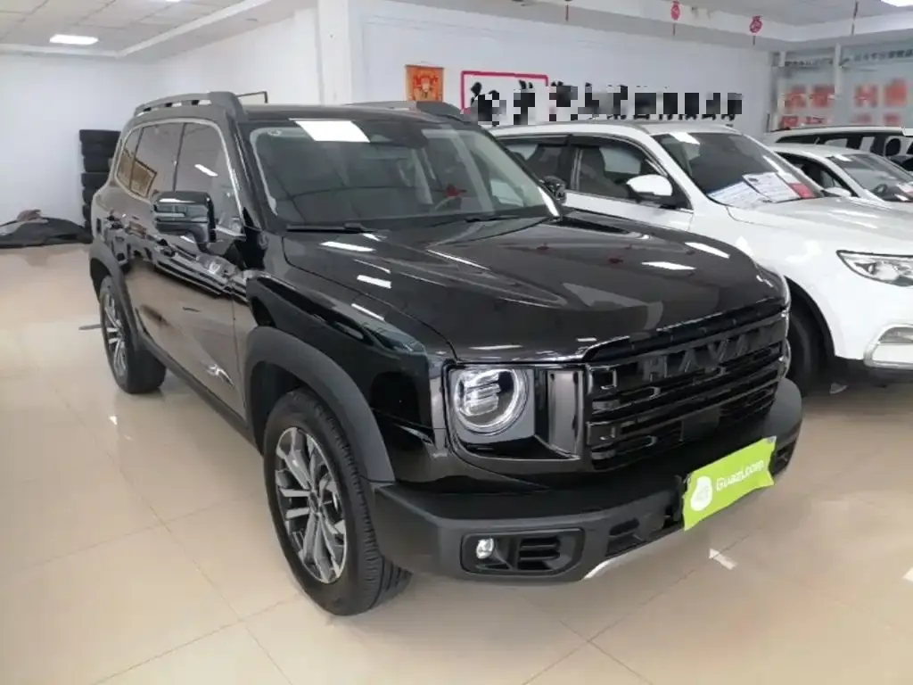 Haval Big Dog 2024 из CN, фото 9
