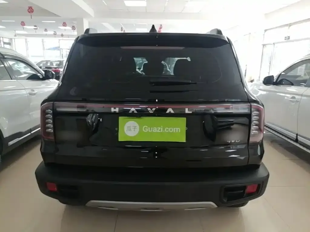 Haval Big Dog 2024 из CN, фото 5