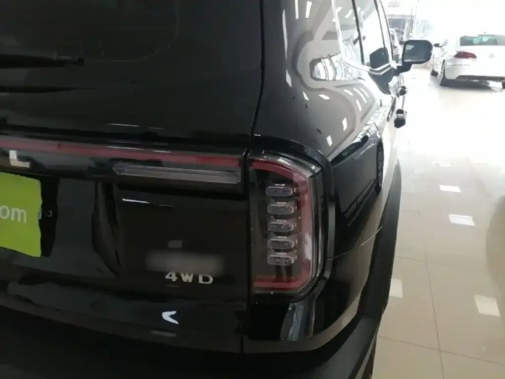 Haval Big Dog 2024 из CN, фото 3