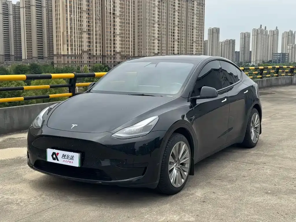 Tesla Model Y — фото 1
