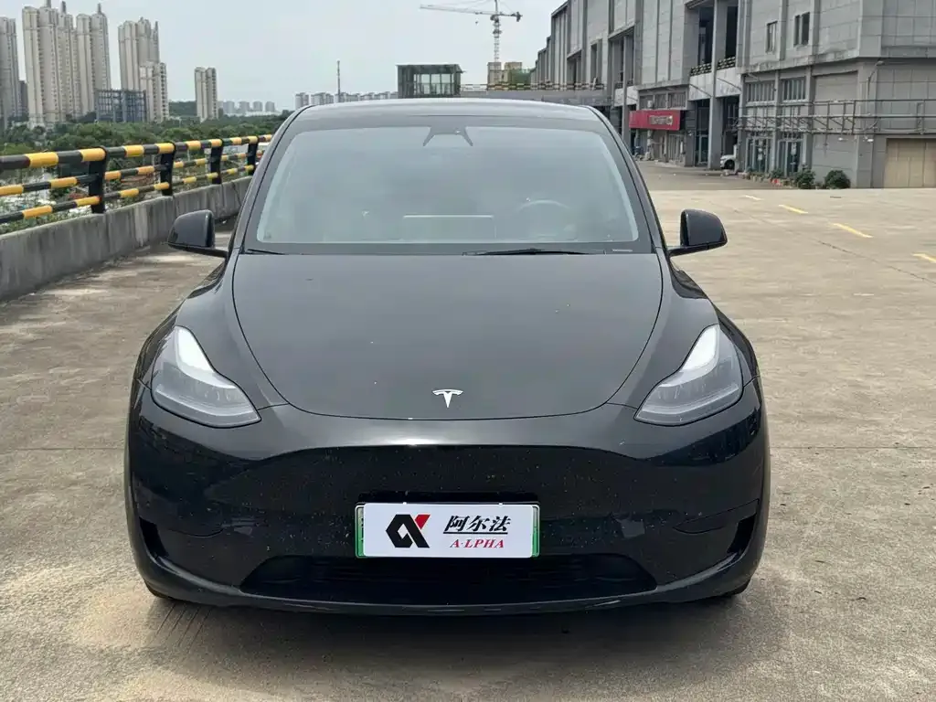 Tesla Model Y — фото 2
