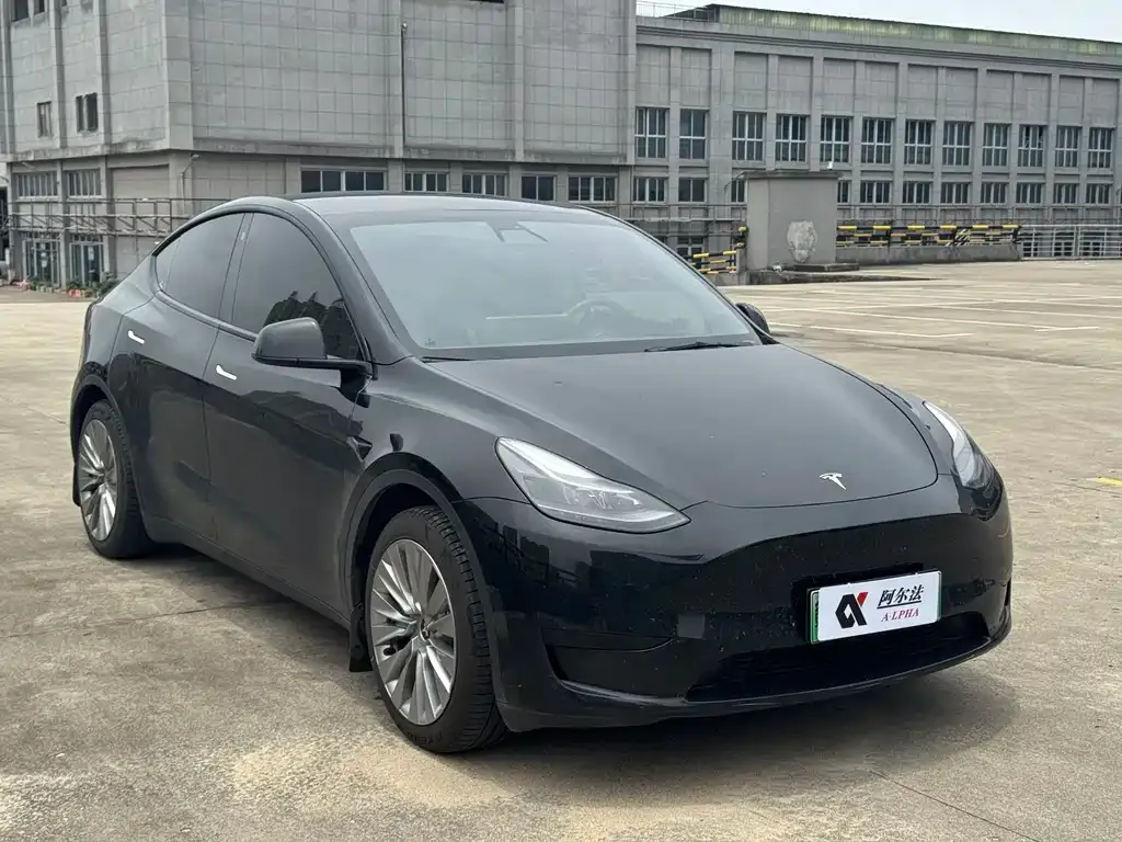 Tesla Model Y — фото 10