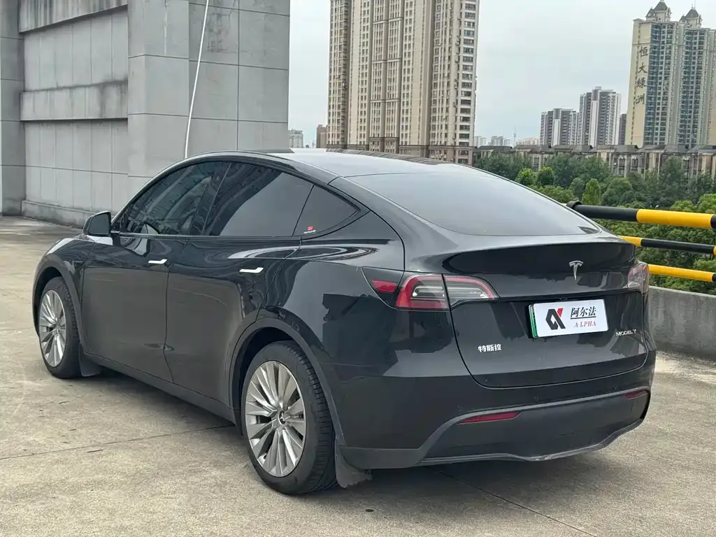 Tesla Model Y — фото 9