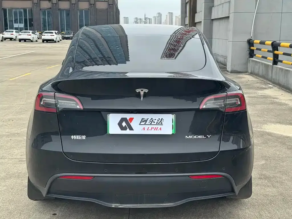 Tesla Model Y — фото 3